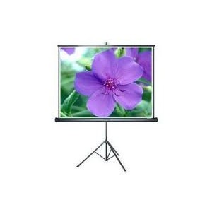 Màn chiếu chân Dalite 140 inch
