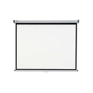 Màn chiếu treo tường Dalite 100 inch